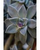 Violette Tourmaline Necklace | Uranus Collection                                                               
