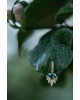 Narissa Diamond Pair Earrings | Piercing Realms Collection