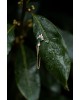 Queen's Arrow Single Earrings | Piercing Realms Collection