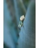 Naga Tourmaline Single Earring | Uranus Collection