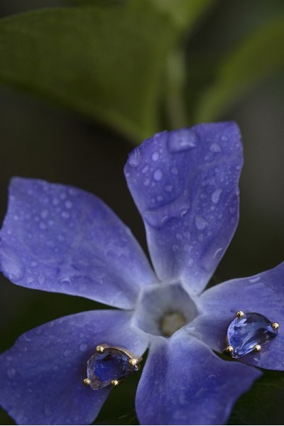Iolite Moondrop Earrings (pair)| Dewdrop Collection