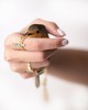 Effie Dragonfly Ring| Forêt Collection