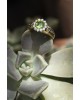 Cathy Ring| Foret Collection